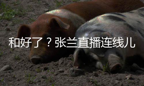 太重儿媳 怒张兰直播心病和好大S怼网了连线友疑
