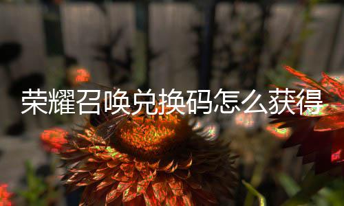 不同荣耀码怎么获码汇渠道召唤总新增兑换得 兑换